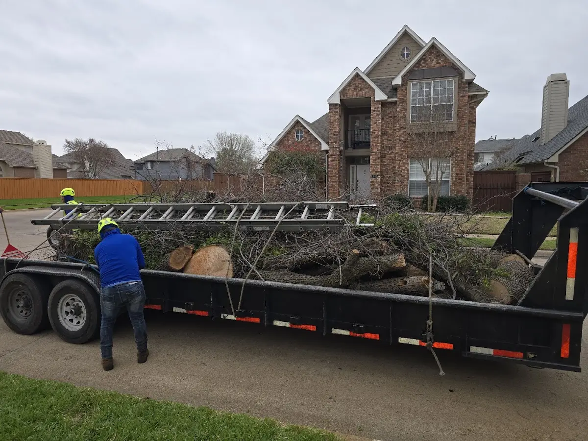 Expert Crown Reduction with proper safety equipment in State Line